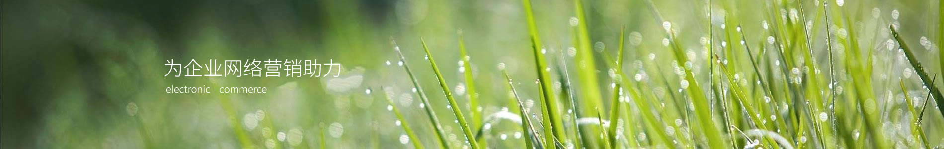 ƻݵ޹˾